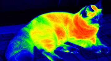 Новый метаматериал может скрыть вас от тепловизоров