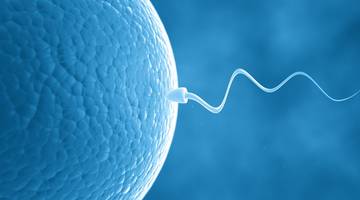 Создан безопасный негормональный контрацептив для мужчин