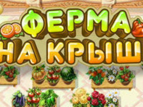 Ферма на крыше